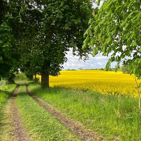 Alte Kate * Schonwalde am Bungsberg